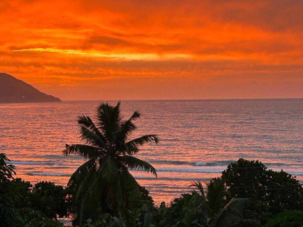Summer Sand Holiday Apartments Beau Vallon  Εξωτερικό φωτογραφία