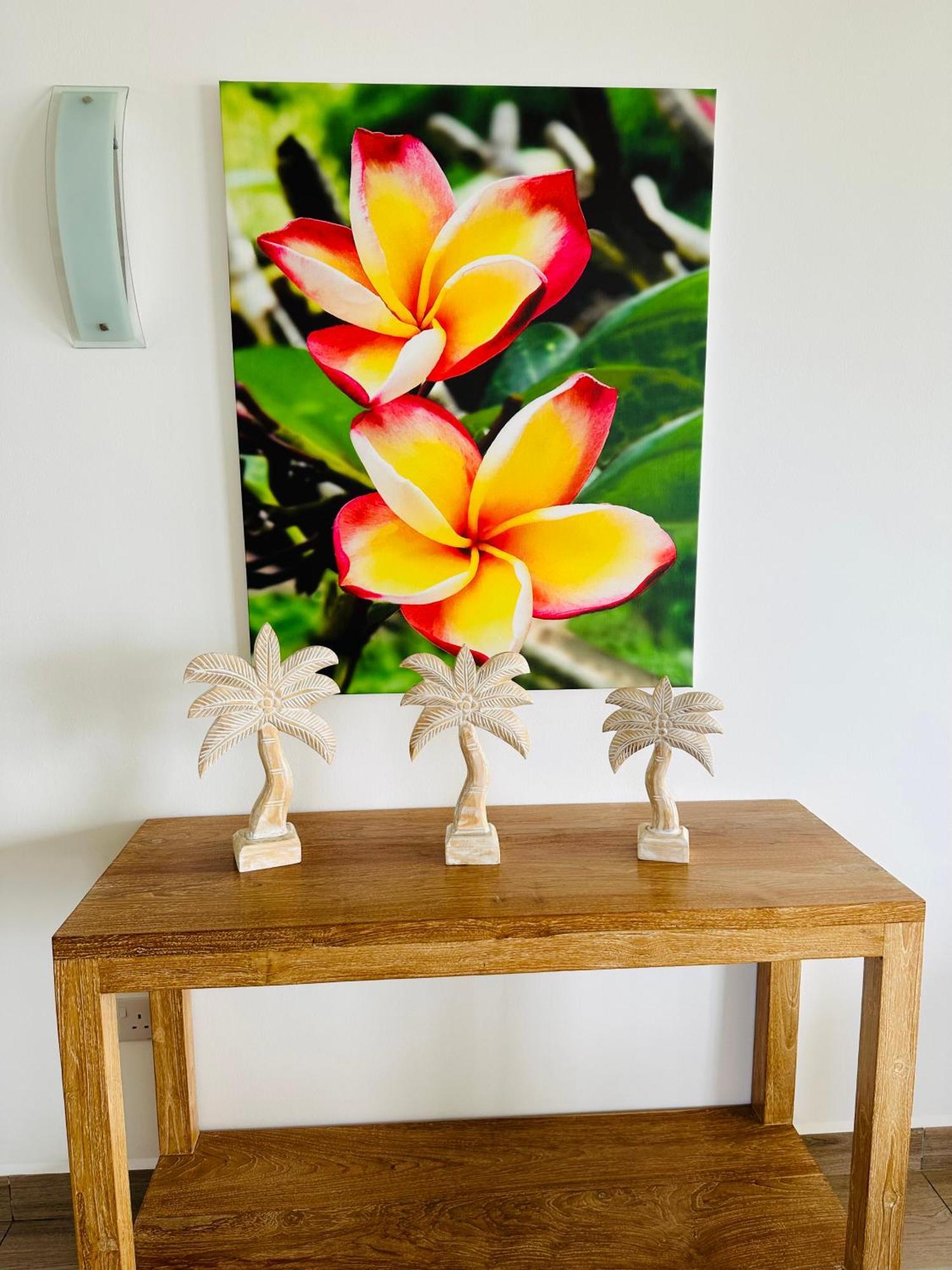 Summer Sand Holiday Apartments Beau Vallon  Εξωτερικό φωτογραφία